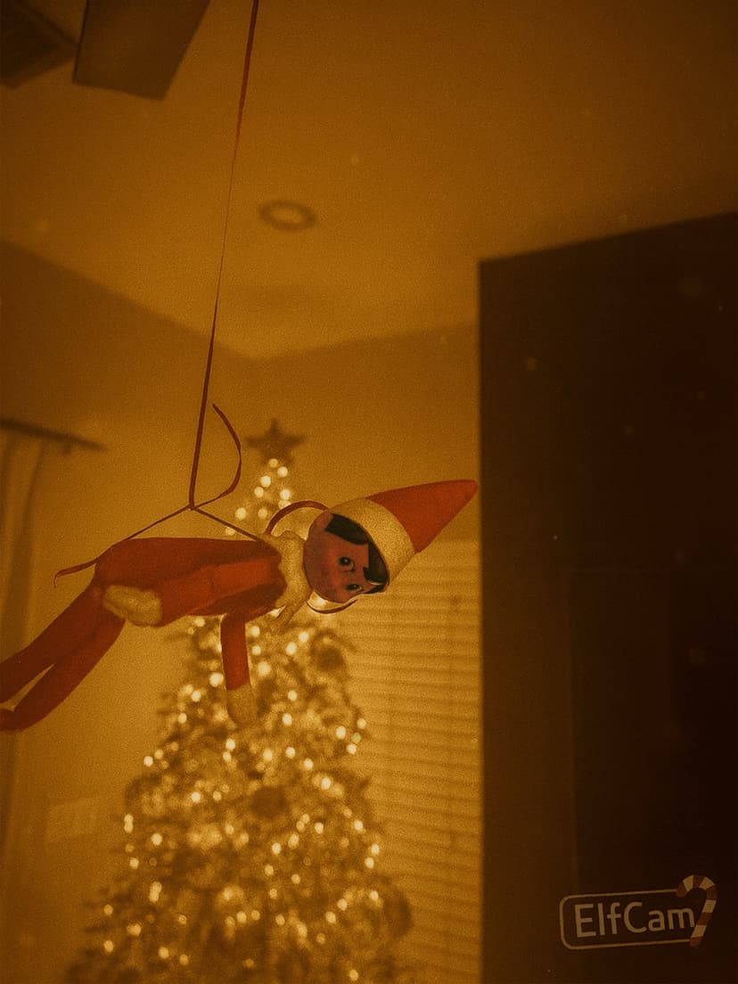 Day 8: I went flying! π