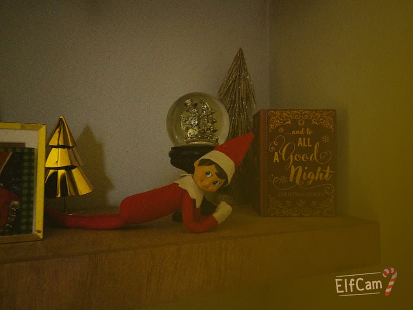 Day 19: I'm taking a rest day! π΄