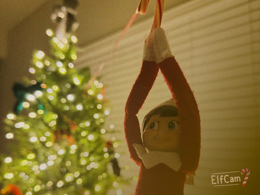 Day 17: I went ziplining! π’